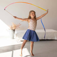 Rainbow Streamer Large