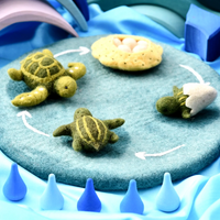 Tara Treasures Felt Lifecycle of Green Sea Turtle