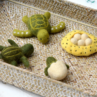 Tara Treasures Felt Lifecycle of Green Sea Turtle