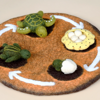 Tara Treasures Felt Lifecycle of Green Sea Turtle