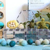Tara Treasures Felt Lifecycle of Green Sea Turtle