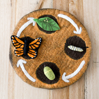 Tara Treasures Felt Life Cycle Tray Playmat (Earth)
