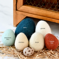 Tara Treasures Felt Eggs (7 Types Of Poultry Eggs)