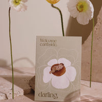 nurture thy seed gift card baby arrival