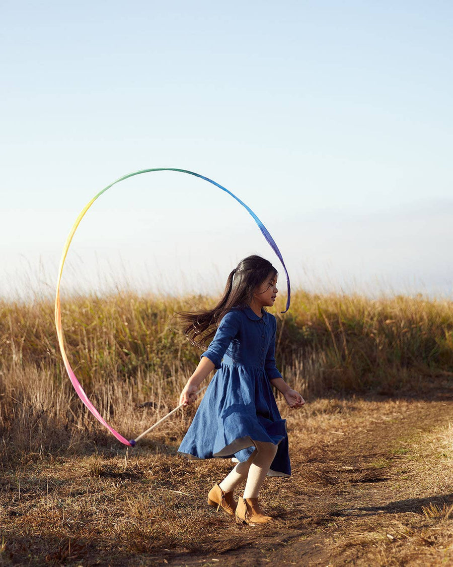 Rainbow Streamer Large