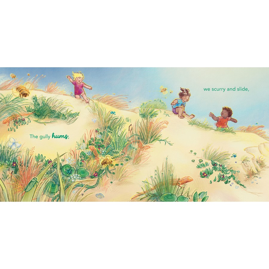 Amid the Sand Dunes - Board Book