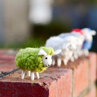 Tara Treasures Felt Green Sheep Toys Set (5 colours)