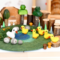 Tara Treasures Duck Pond with 6 Ducks Play Mat Playscape