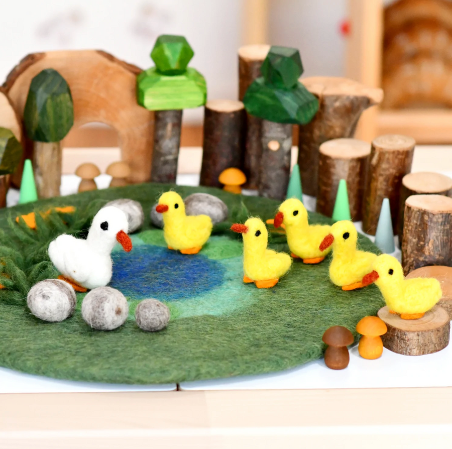 Tara Treasures Duck Pond with 6 Ducks Play Mat Playscape