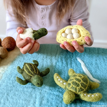 Tara Treasures Felt Lifecycle of Green Sea Turtle