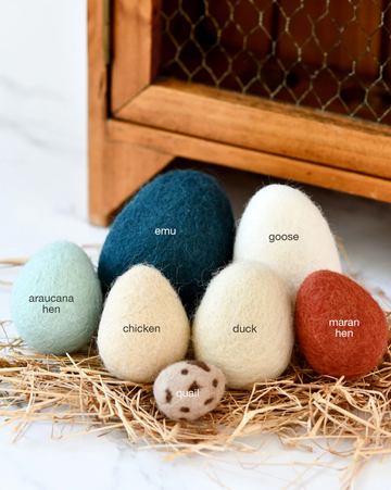 Tara Treasures Felt Eggs (7 Types Of Poultry Eggs)