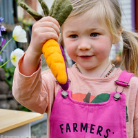 Tara Treasures Felt Orange Carrot